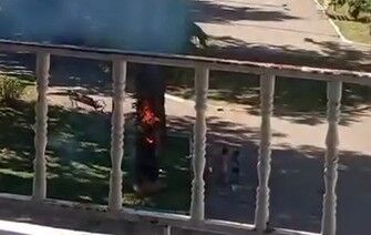 Haliliye’de Parkta Ağaç Yangını! İtfaiye Büyümeden Söndürdü
