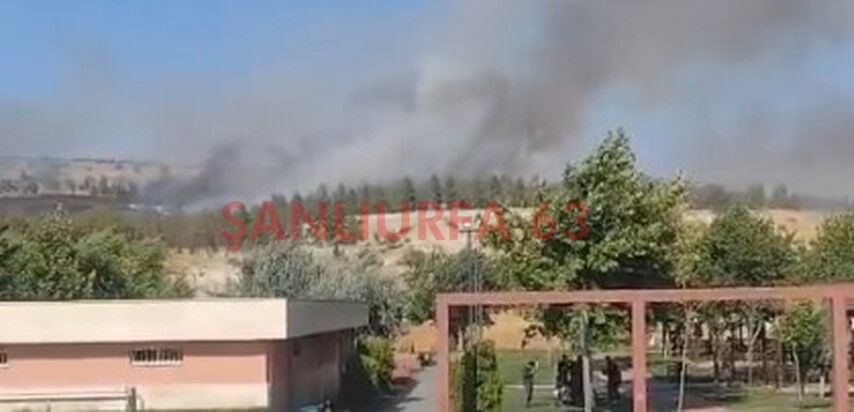 Şanlıurfa GAP Vadisi'nde Yangın! Ekipler Seferber Oldu