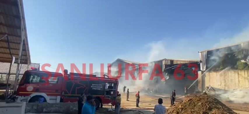 Şanlıurfa'da Besi Tesisinde Korkutan Yangın!
