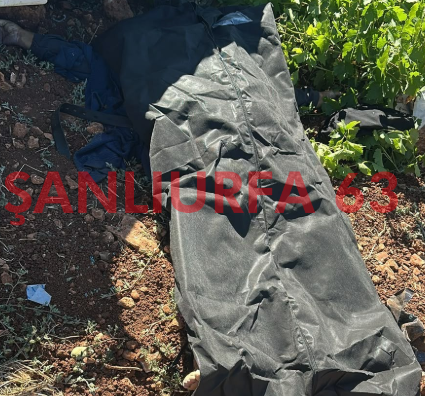Şanlıurfa’da Feci Kaza! Şarampole Devrilen Araçta 1 Kişi Öldü