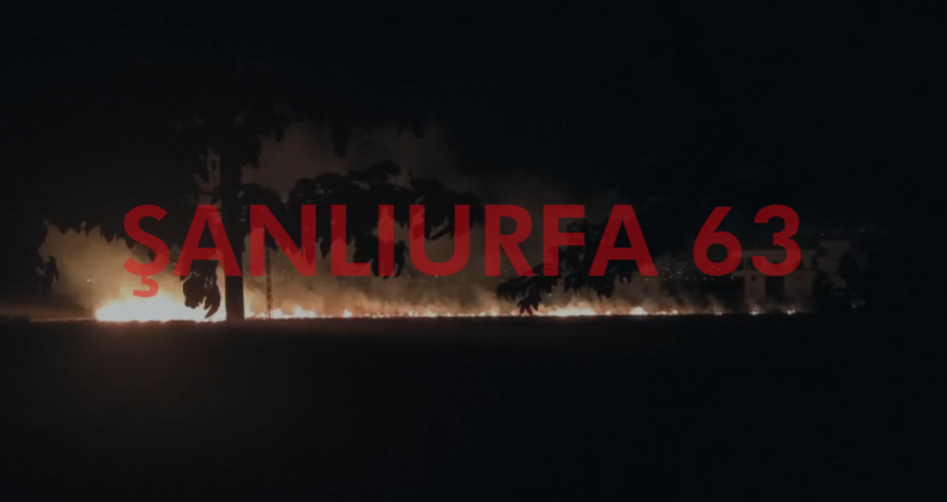 Şanlıurfa'da Korkutan Yangın! Rüzgar Alevleri Büyüttü