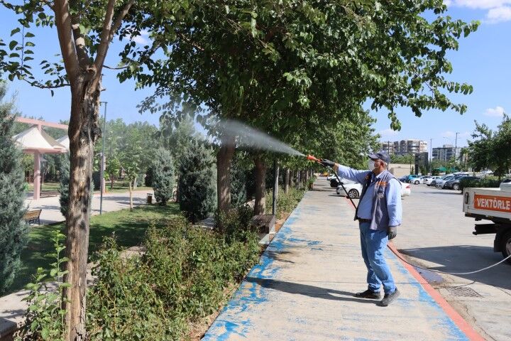 Şanlıurfa'da Yaz Kabusu Bitiyor! Üreme Alanları Tek Tek İlaçlanıyor