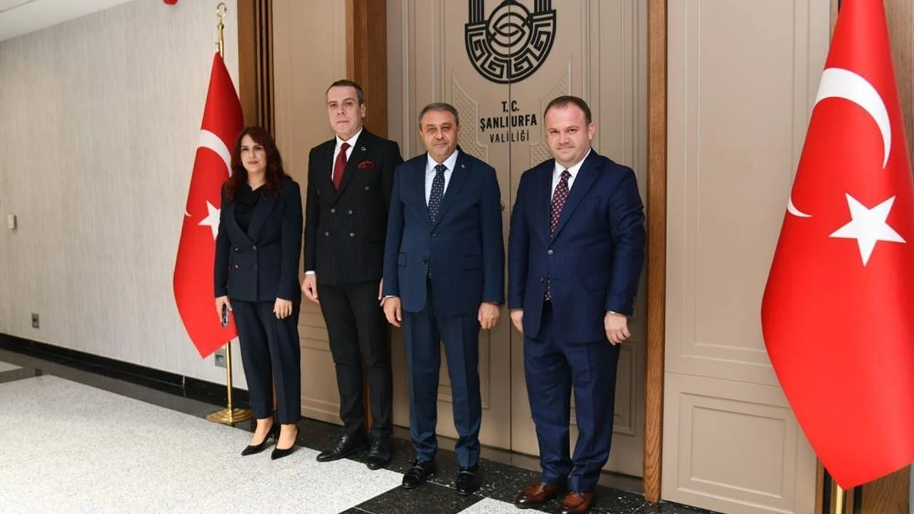 Paris'ten Şanlıurfa'ya Uzanan Kariyer: Fatmagül Dalmış'ın Hayatı