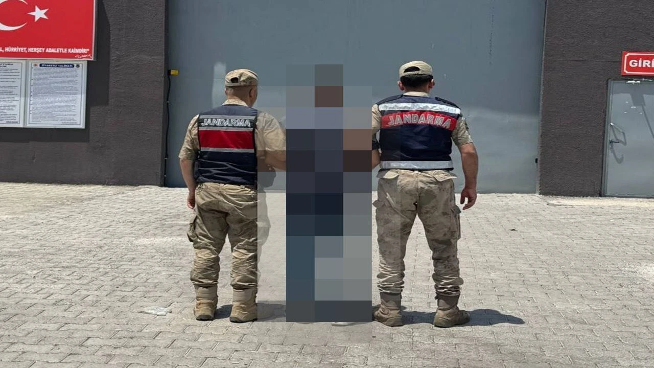 Şanlıurfa Jandarması Aranan Hükümlüye Göz Açtırmadı