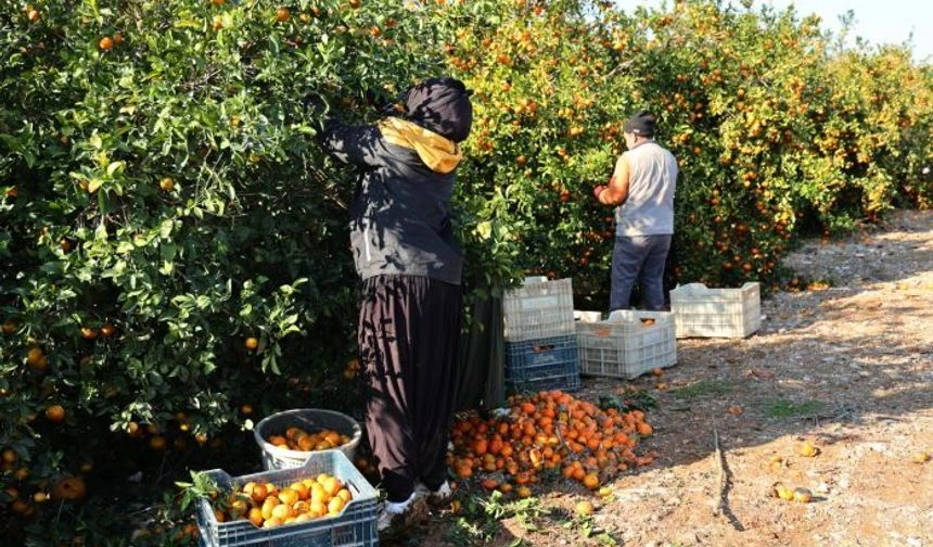 Bölge Birliği Genel Kurulu İçin Tarih Belli Oldu