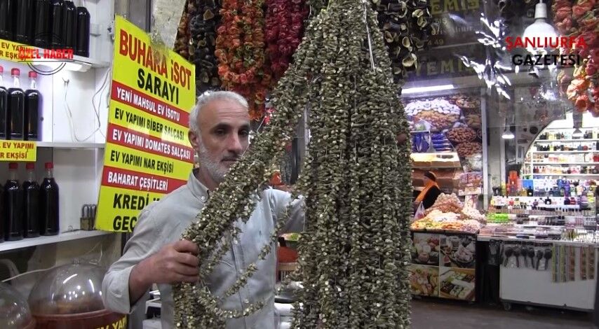 Şanlıurfa’da Çiçek Bamya Sezonu: Fiyatı Cep Yakıyor, Turistler Rağbet Ediyor