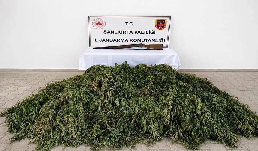 JASAT'tan Bozova'da Uyuşturucu Operasyonu