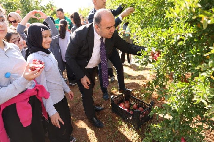 Şanlıurfa’da 2. Nar Festivali Heyecanı: Başkan Nihat Çiftçi Hasada Katıldı