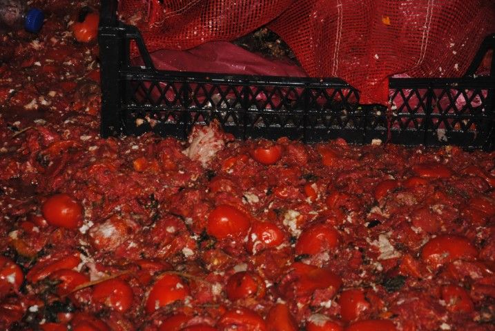 Şanlıurfa’da Gıda Denetimi Yüzlerce Kilogram Sağlıksız Ürün Tespit Edildi (3)